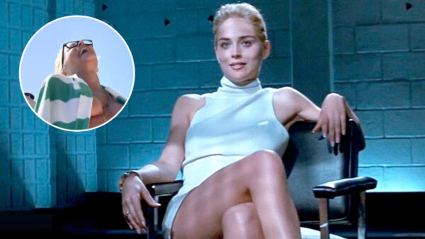 Internet helemaal lyrisch vanwege topless foto van de 64-jarige Sharon Stone