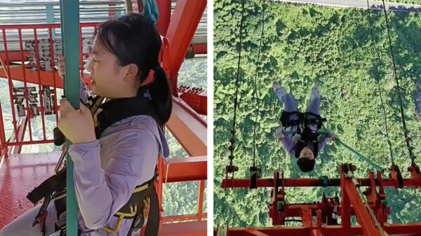 Iemand zin in een ritje op de geschifte schommel des doods?