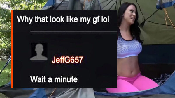 Het is tijd voor 35 prachtige comments van 's werelds bekendste natuursite