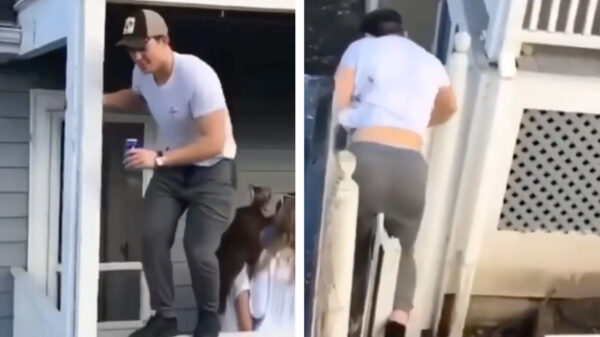 Even een tip: tijdens de VrijMiBo kun je beter niet van een veranda stappen