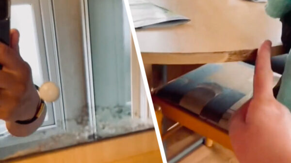 Vakantieganger maakt nieuwe beelden vervallen huisje in park Brugse Heide van Peter Gillis