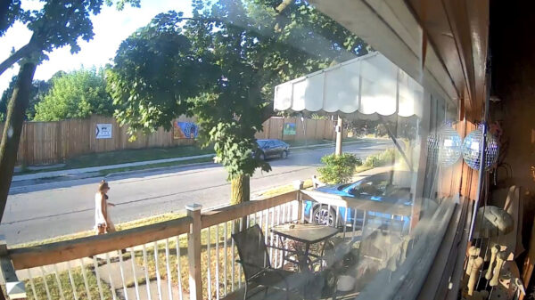 Bezopen Gerda is na de VrijMiBo d'r richtingsgevoel kwijt en trekt tuinhekje omver