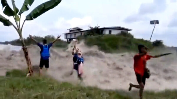 Dit is ook een manier om een naderende overstroming te 'begroeten'