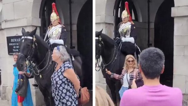 Queen's Guard verzoekt jongedame vriendelijk om van zijn teugels af te blijven