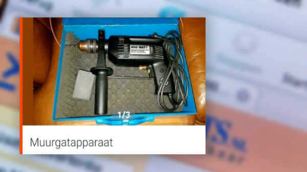 13 advertenties op Marktplaats waar de honden geen brood van lusten