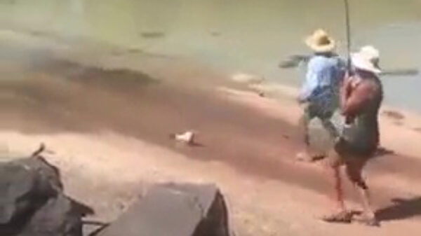 Viswijf raakt binnen no-time haar vangst weer kwijt