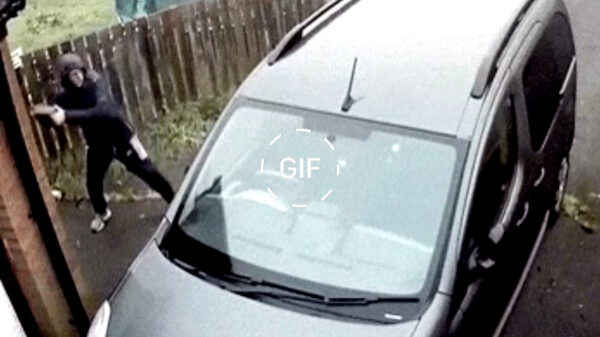 Gifdump: 31 prutsers die niet echt lekker hebben nagedacht