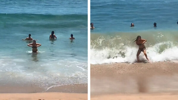 Zeemeermin heeft de nodige moeite om de zee uit te komen