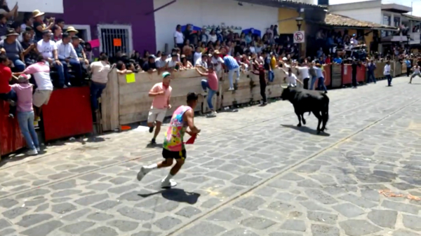 Onoplettende amigo wordt ondersteboven gebeukt tijdens stierenrennen in Mexico