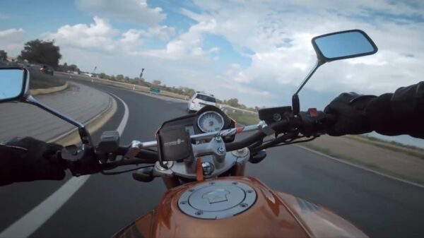 Broekpoepmomentje: scheurneus weet auto nog nét op tijd te omzeilen