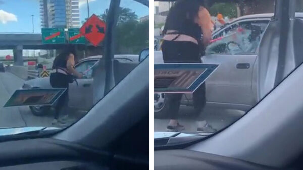 Hockeymeisje slaat autoraam in tijdens road rage in Chicago