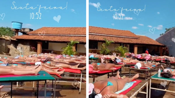 Wanneer je de enige achtertuin in de buurt hebt waar de zon schijnt