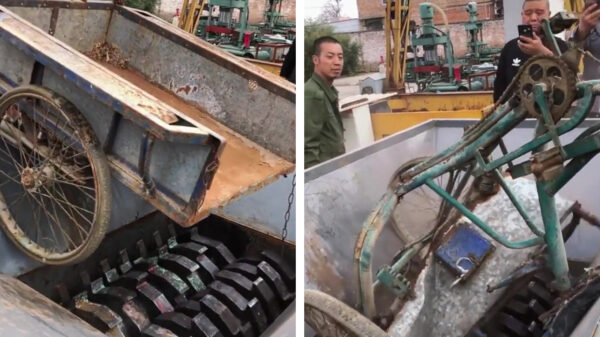 Wel eens een allesverslinder een bakfiets zien wegnassen?