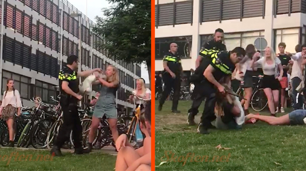 Studenten in park Paardenveld in Utrecht krijgen het aan de stok met de politie