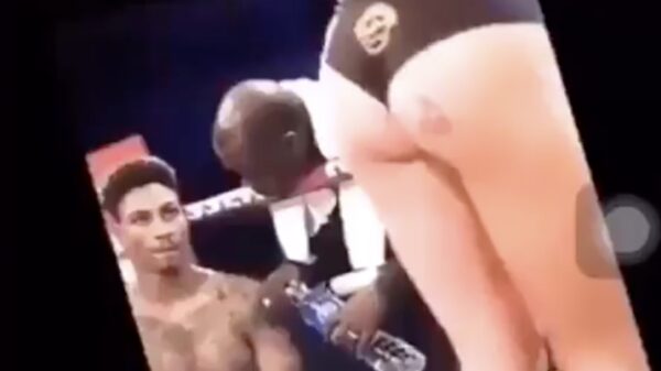 Bokser is er niet helemaal bij met z'n gedachten