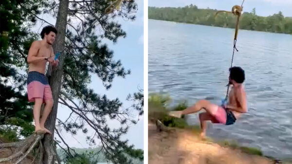 Ook Tarzans zaakje is niet bestand tegen een pijnlijke nutshot