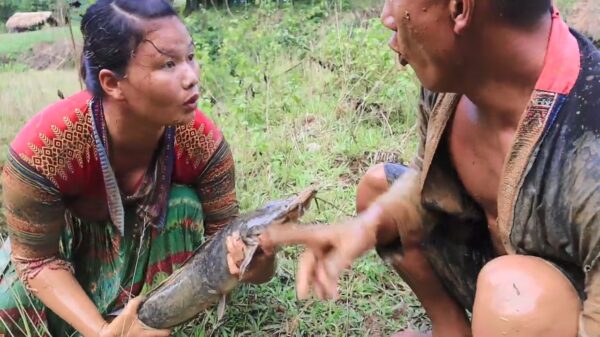 Enthousiast stelletje vangt meervallen met de hand tijdens romantisch dagje uit