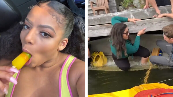 Compilatie: 40 leeghoofden die heel hard hun best deden maar toch keihard faalden