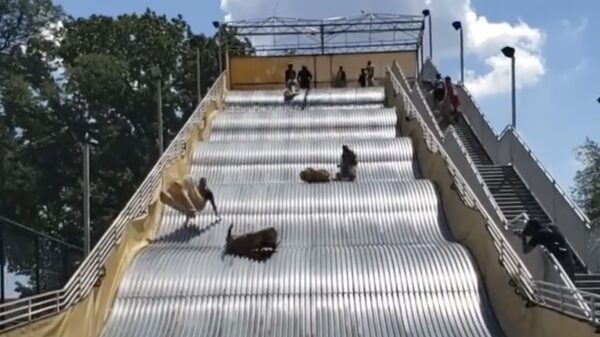 Wel eens een glijbaanontwerper gezien die een hekel aan kinderen heeft?