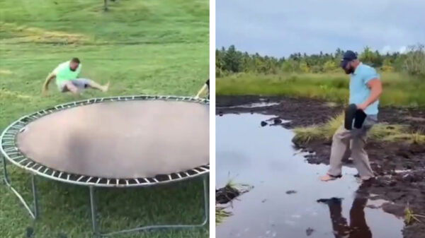 Dankzij deze WEEEEEEE-compilatie is je weekend pas echt geslaagd