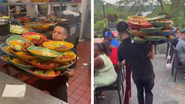 Met deze obers heb je nooit meer last van personeelstekort