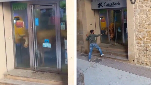 Het was weer loeidruk bij de bank