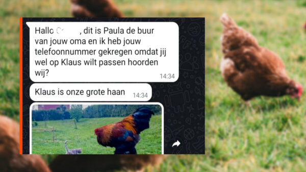 Een vriendelijk berichtje van de opdringerige buurvrouw van je oma
