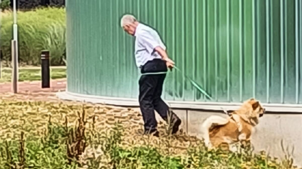 Ondertussen in Selwerd: baas van blaffende hond trapt kat de vijver in