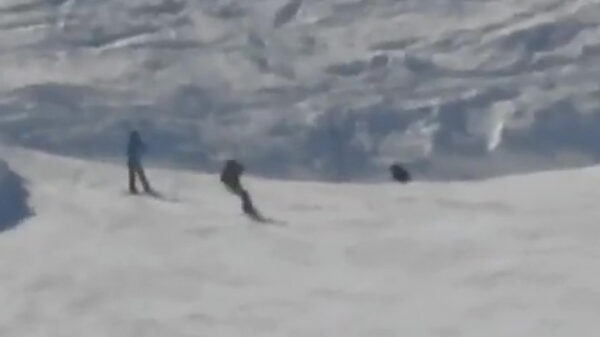 Oké, dat was onverwacht