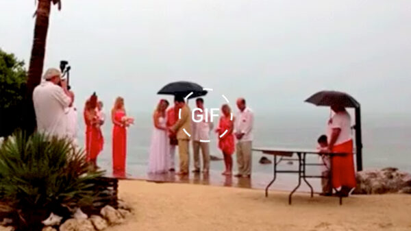 Gifdump: 30 dingen die ze stuk voor stuk niet zagen aankomen