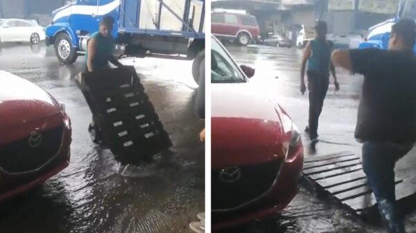 Als de baas geen natte schoenen wil krijgen bij het oversteken