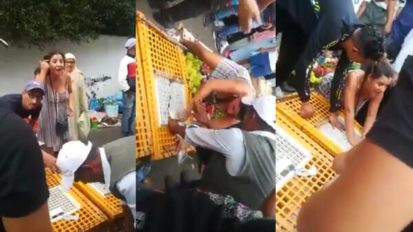 Engels sneeuwvlokje in flipmode probeert kip op Marokkaanse markt te bevrijden