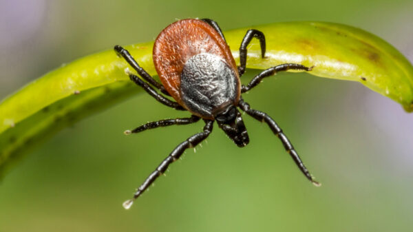 Ga eens naar het bos zeiden ze, da's leuk zeiden ze