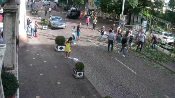 Wandelende dame krijgt ineens een enorme vallende boom in haar nek