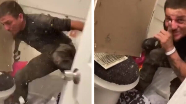 Viespeuk leert in de badkamer al snel wat karma is