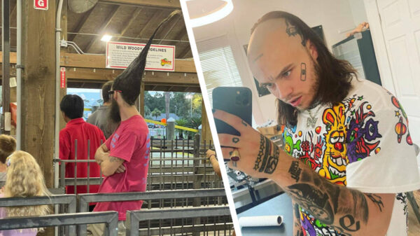 51 nieuwe voorbeelden van "doe maar een kapseltje"