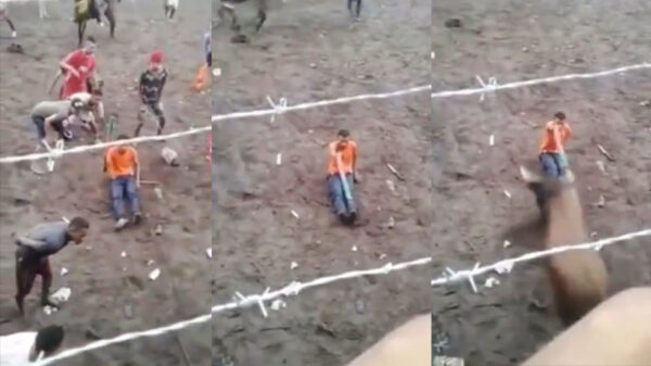 Kerel krijgt precies wat hij verdient als hij een stier zittend met een stok uitdaagt