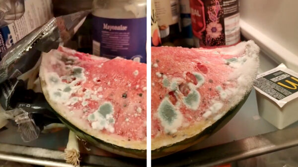 Even genieten van een heerlijk stukje watermeloen met dit warme weer