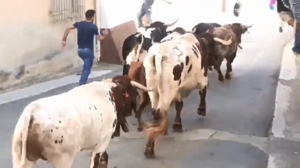 Spanjaard wordt tegen een muur gedropkicked als hij achter stieren aan rent