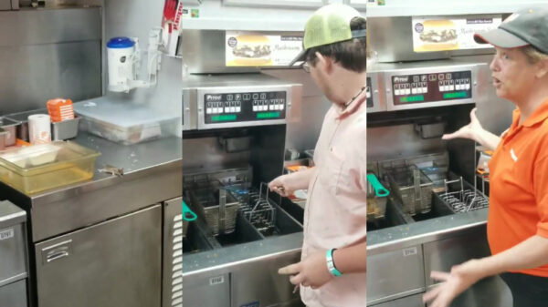 Muis in de fastfoodkeuken maakt er zelf een eind aan door in frituur te springen