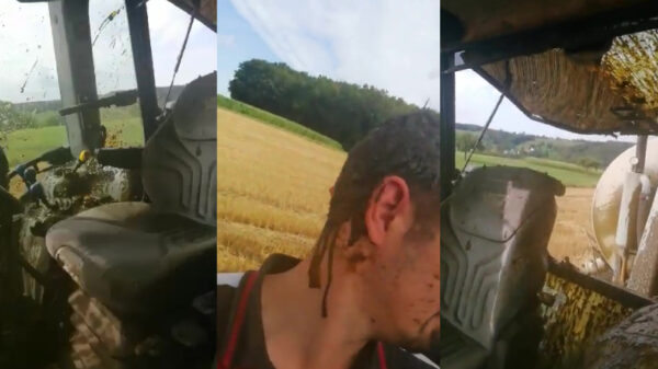 Boer heeft enorme schijtdag