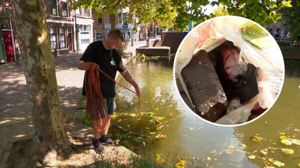 Placentavissen gaat het helemaal worden deze nazomer