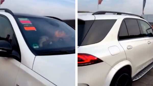 Mercedes-baas Toto Wolff steekt middelvinger op naar Nederlandse F1-fans