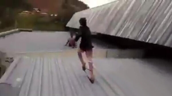 Stuntkoter moet nog even oefenen op zijn parkourskills