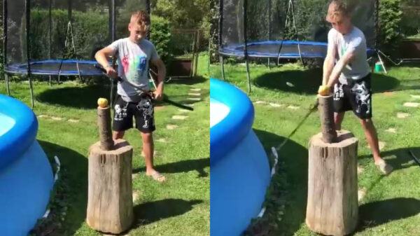 Fruit Ninja komt erachter dat locatie best belangrijk is