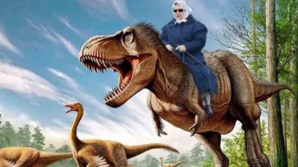 God save the queen: de beste memes over Queen Elizabeth op een rijtje