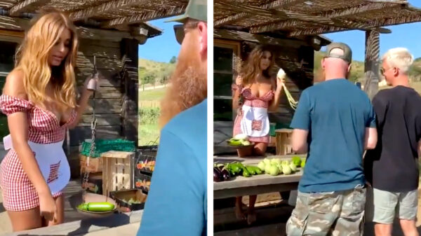 Opeens heb je het: je gaat fulltime vegetarisch eten!