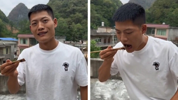 Zeker don't try this at home: een levende horzel in één keer wegslikken