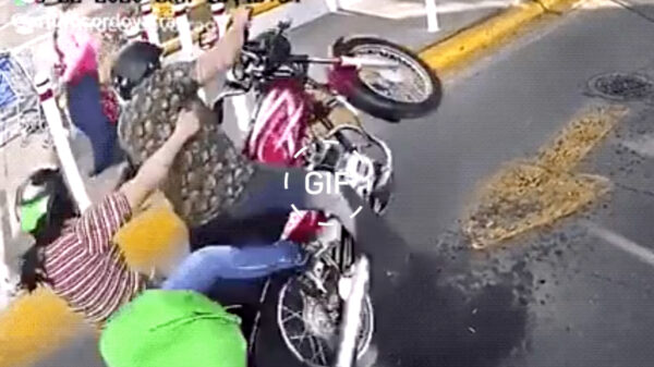 Gifdump: 23 muppets die hun rijbewijs beter kunnen inleveren