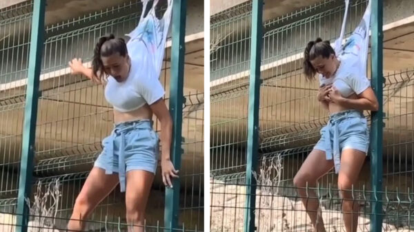 Je kunt 2 dingen doen als je vriendin vastzit aan een hek: helpen of filmen